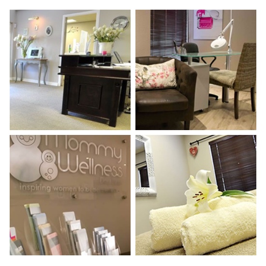 Mommy Wellness Day Spa Franchise, Day Spa franchises